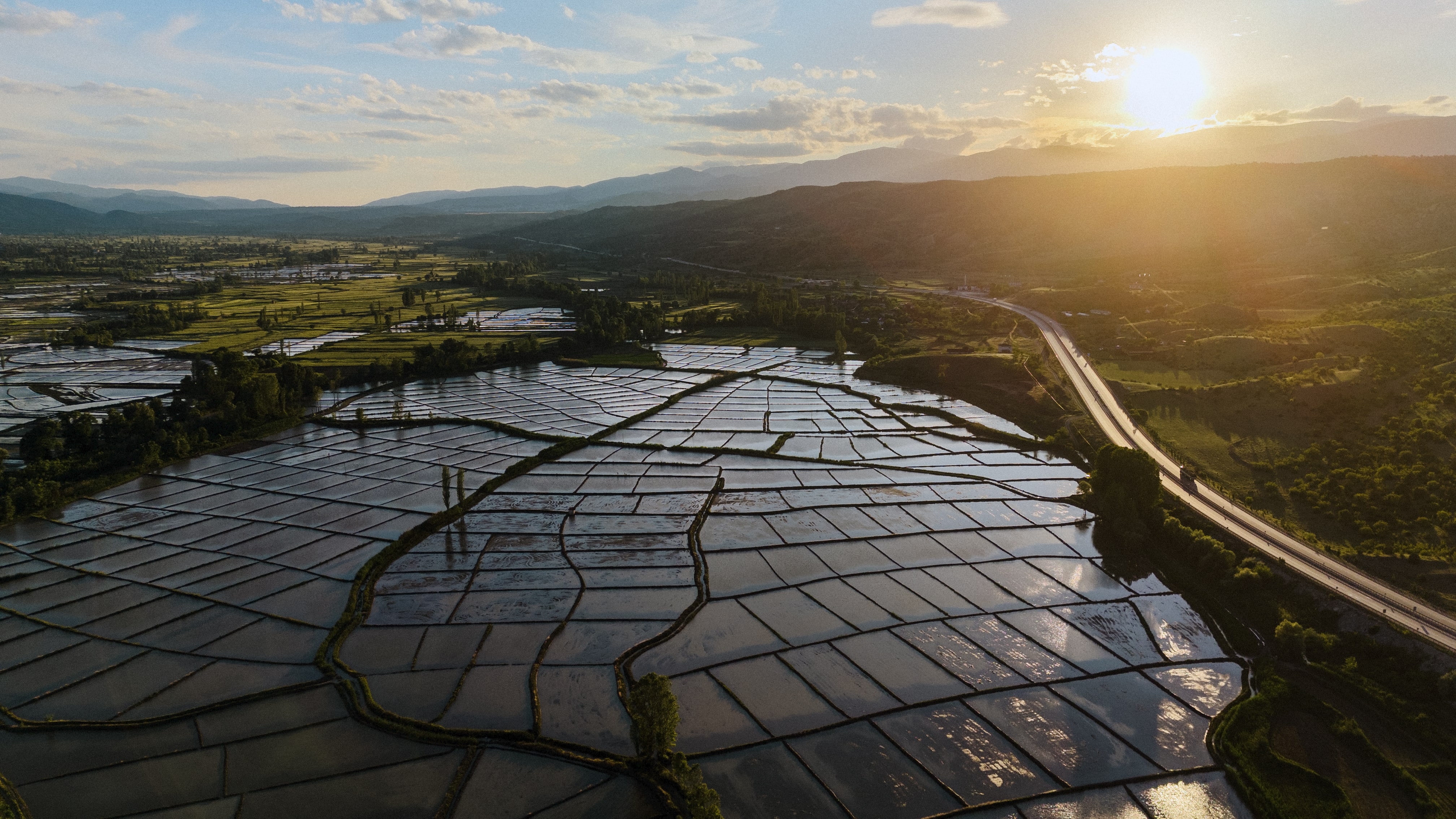 Tosya Çeltik Tarlaları