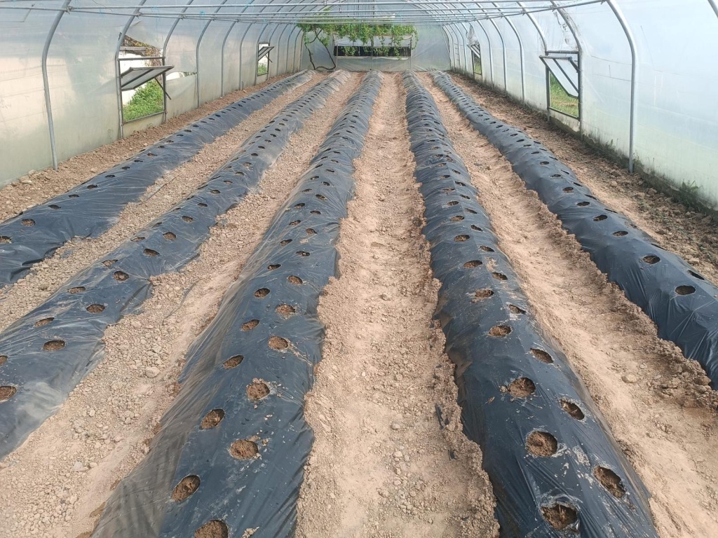 Şehit Sacit Olcay Kabaklıoğlu Tarım Mesleki ve Teknik Anadolu Lisesi