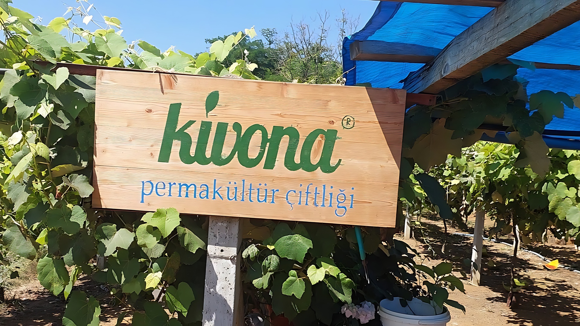 Kivona Permakültür Çiftliği