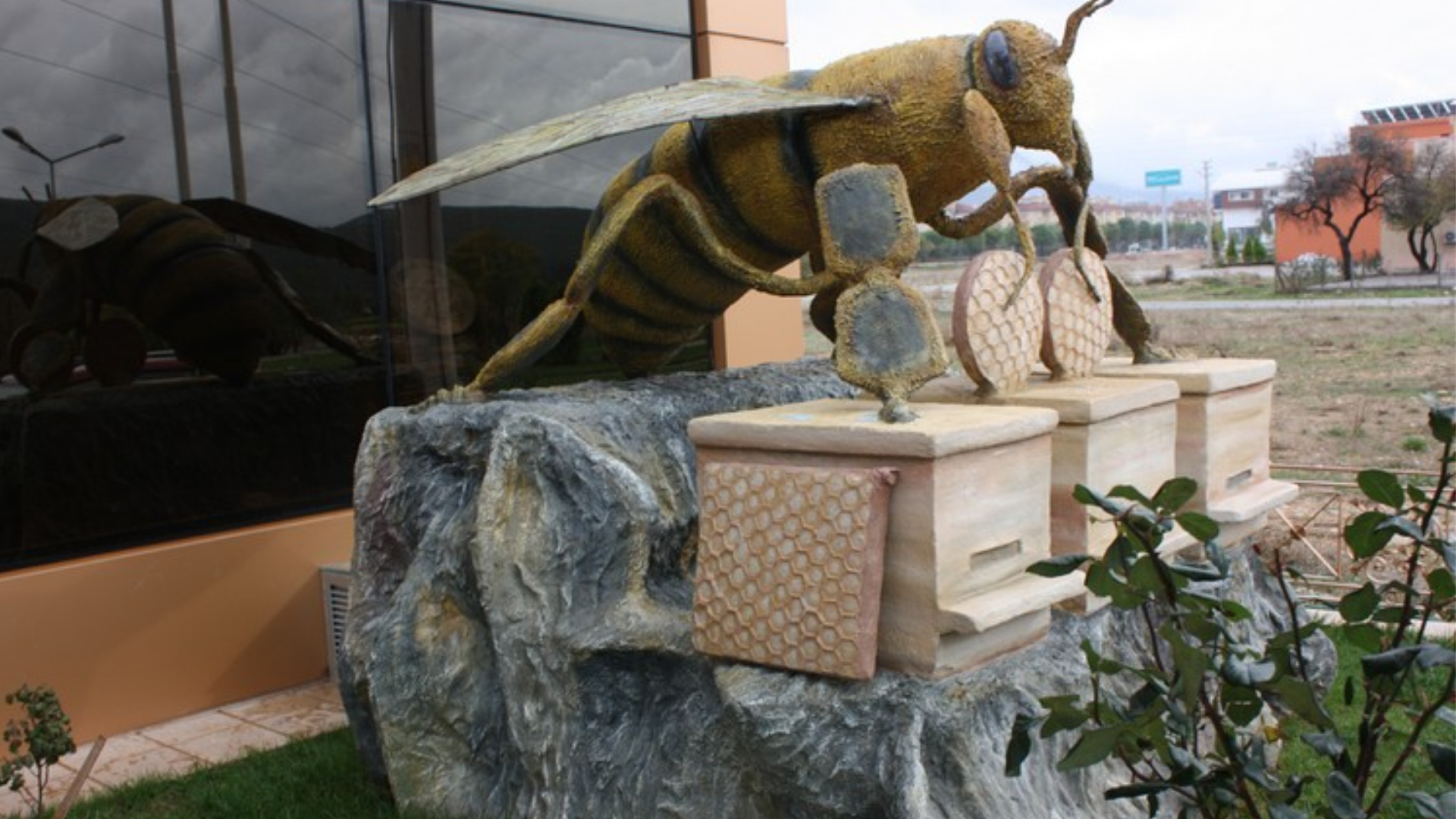 Muğla Arıcılık Müzesi