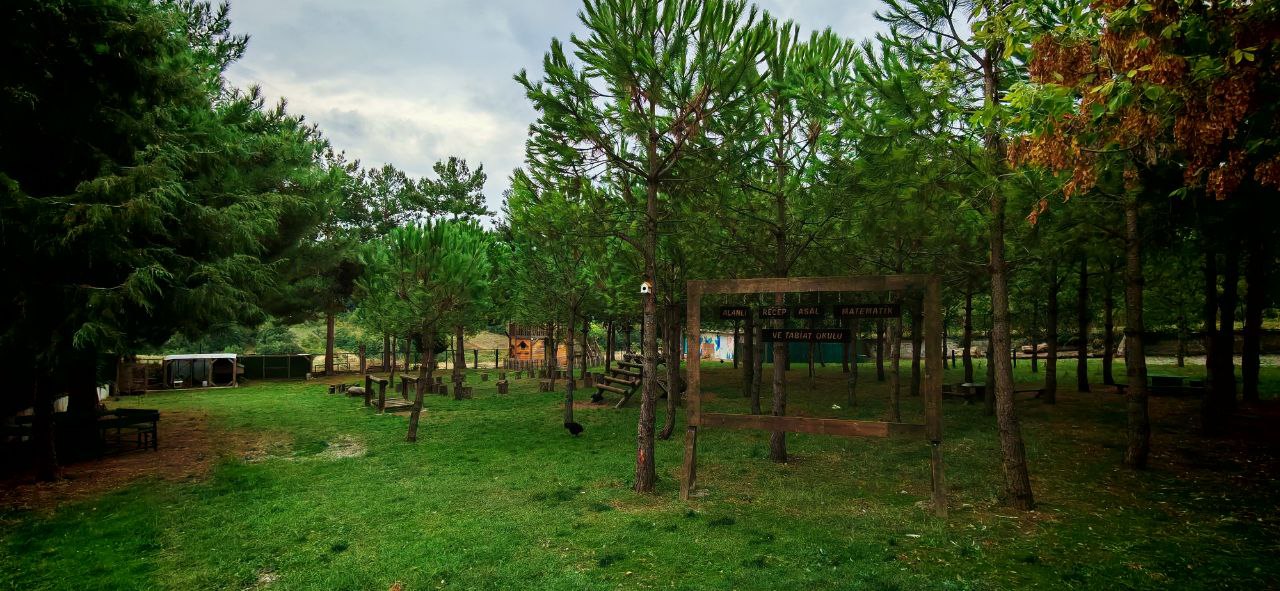 Alanlı Recep Asal Matematik ve Doğa Okulu