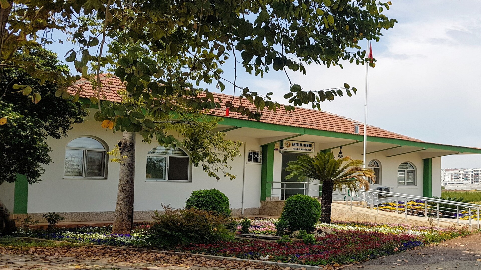 Antalya Orman Fidanlık Müdürlüğü