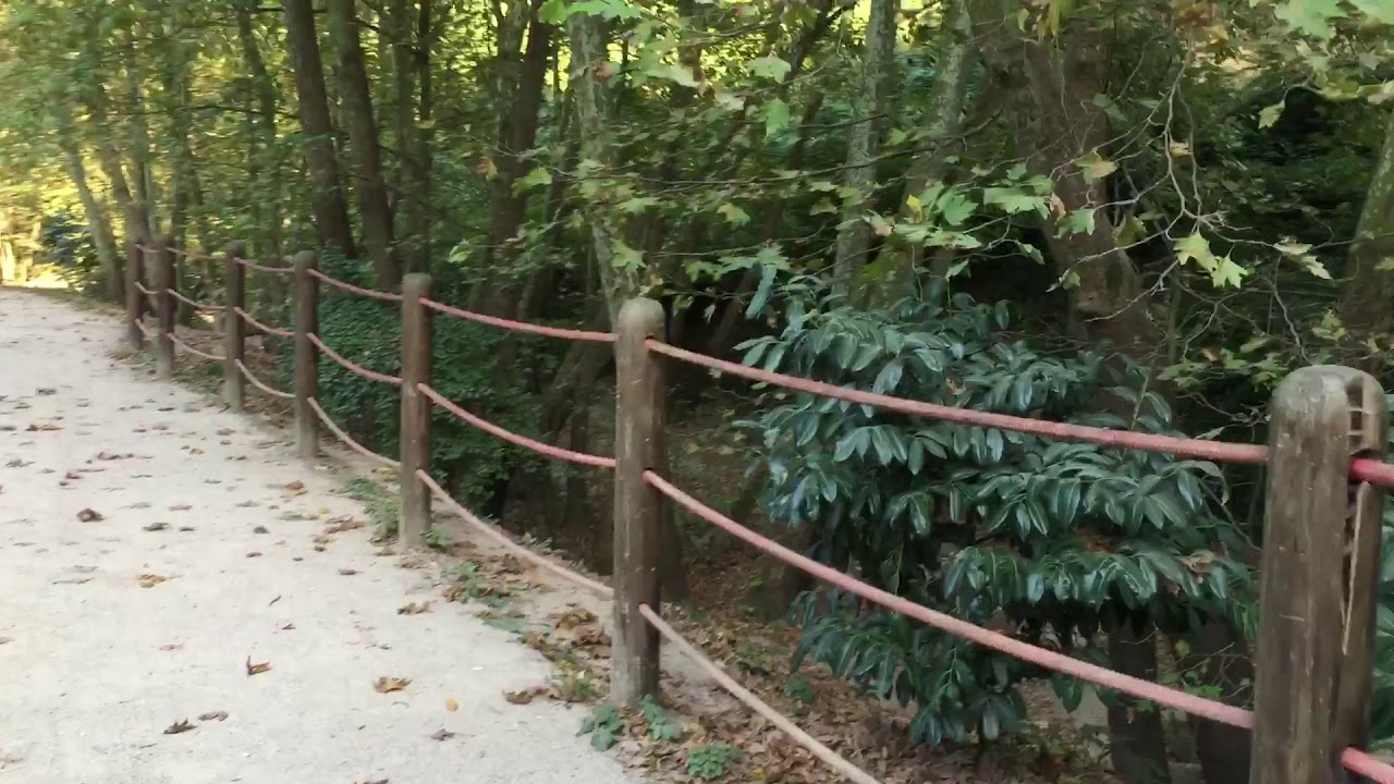 Çenedere Mesire Alanı