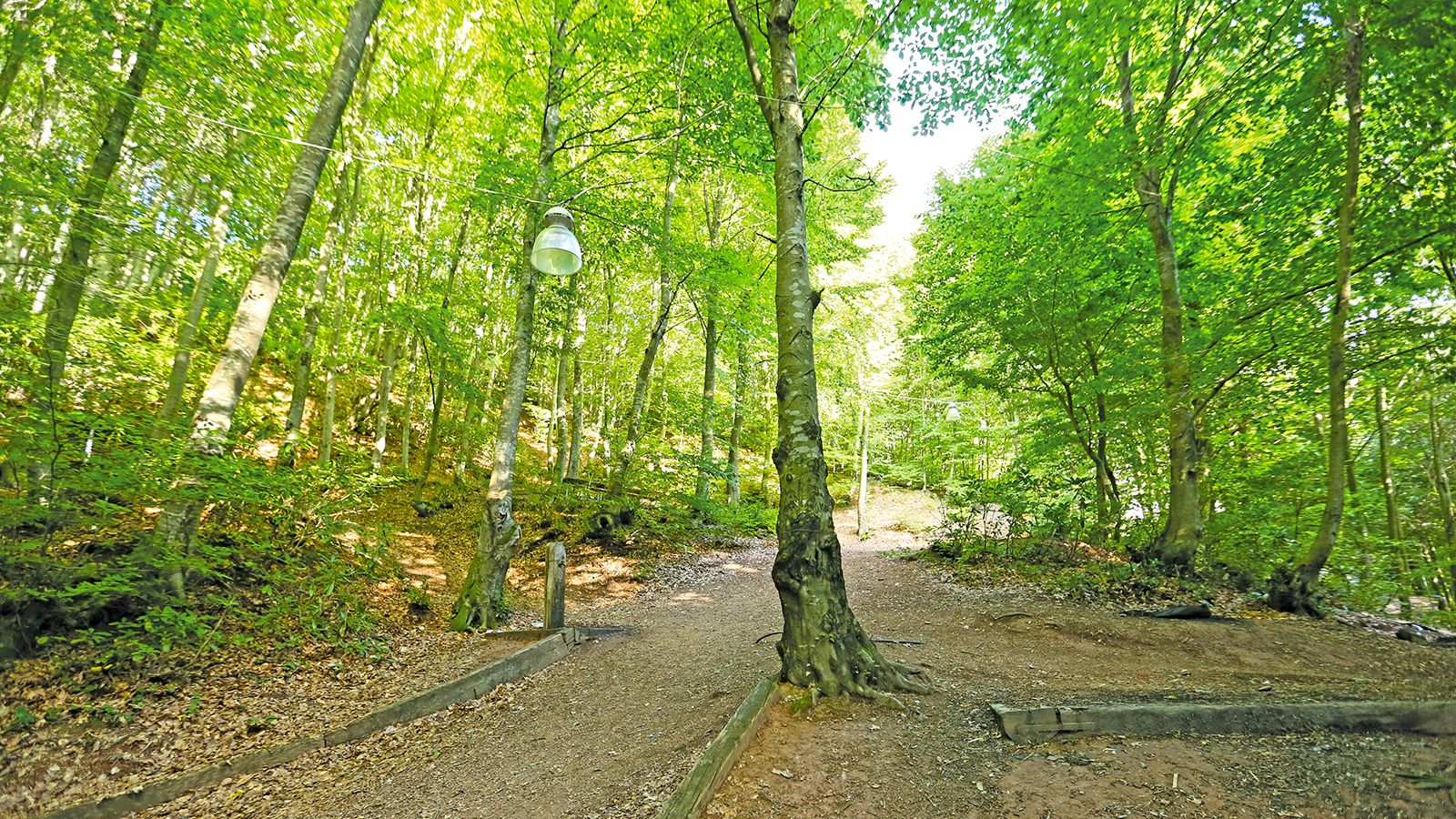 Dümbüldek Suyu Mesire Alanı