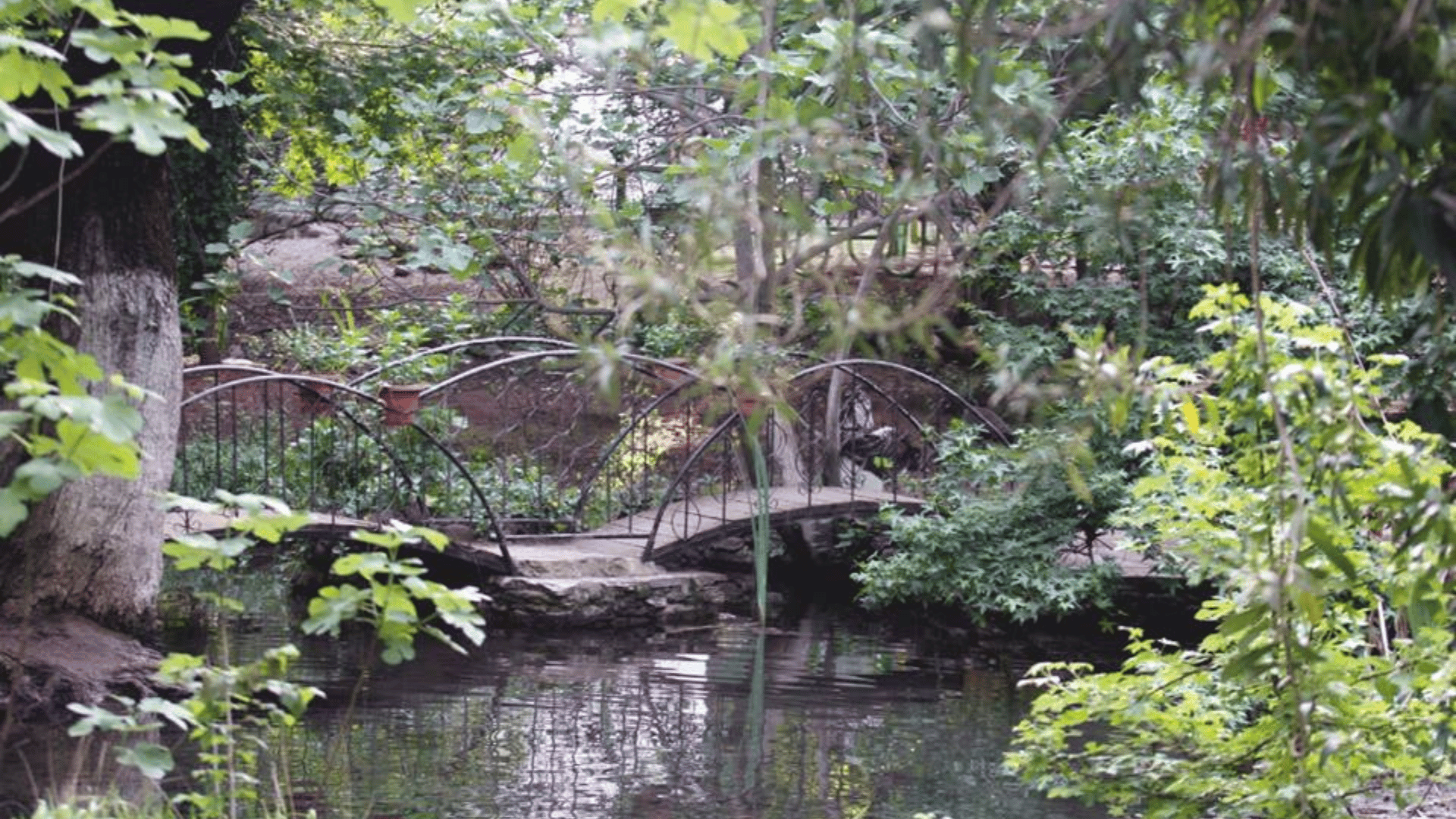 Kazancı Mesire Alanı