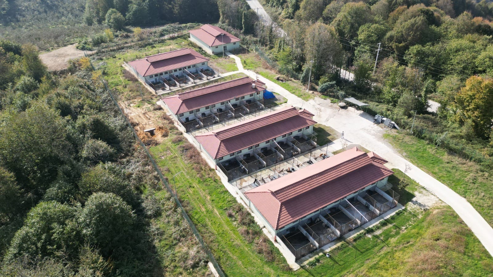 Düzce Belediyesi Sokak Hayvanları Geçici Bakımevi ve Rehabilitasyon Merkezi