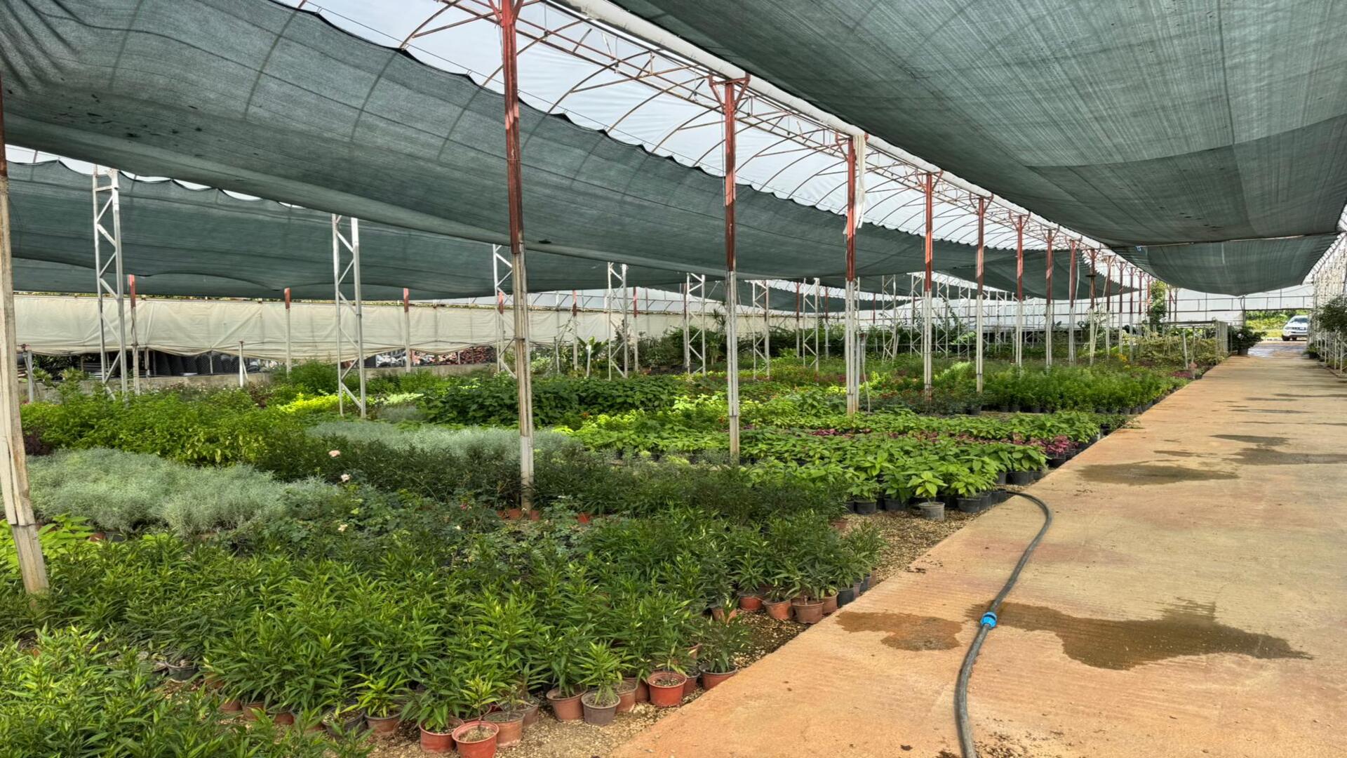 Alanya Belediyesi Merkez Oba Şantiyesi ve Serası