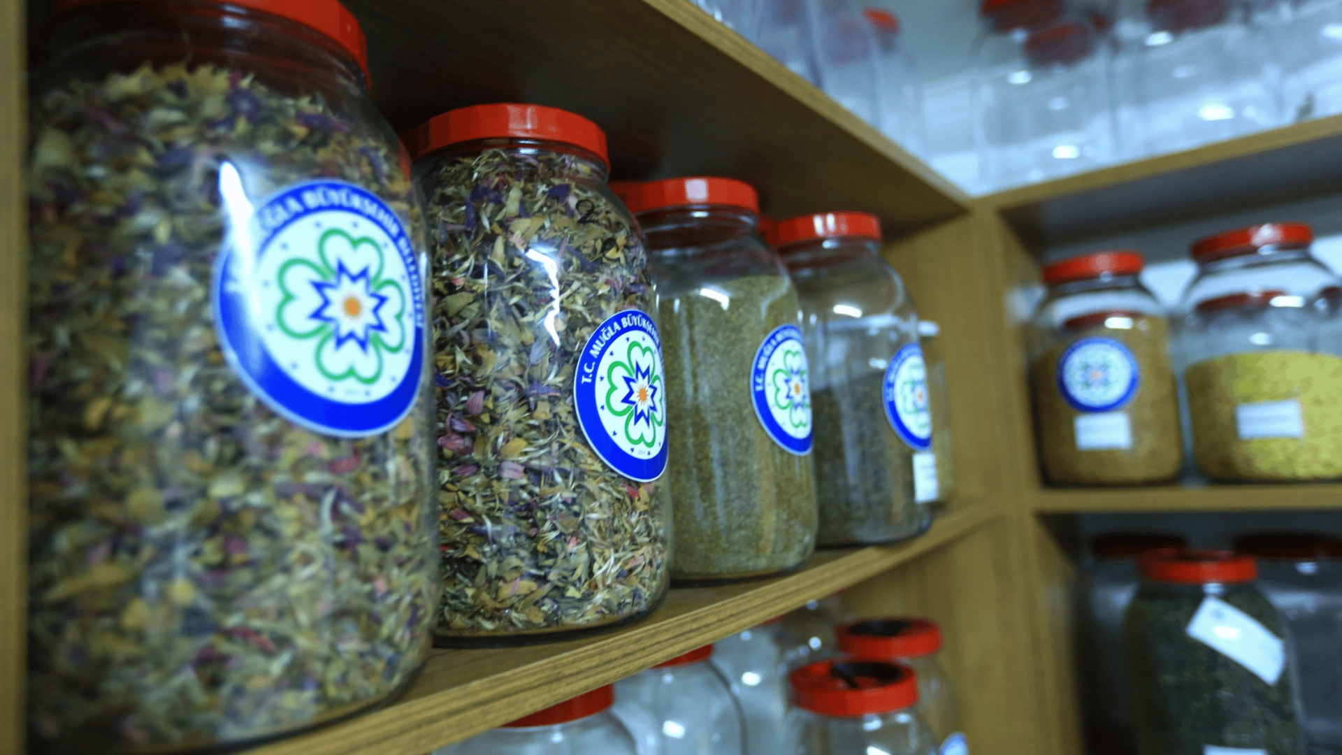 Tıbbi Aromatik Bitkiler Yerel Tohum Merkezi