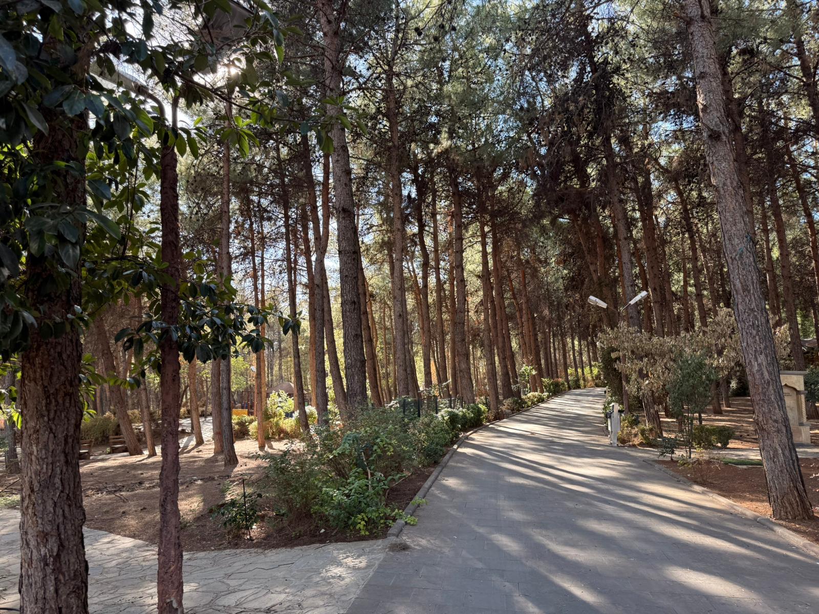 Arslan Bey Tabiat Parkı