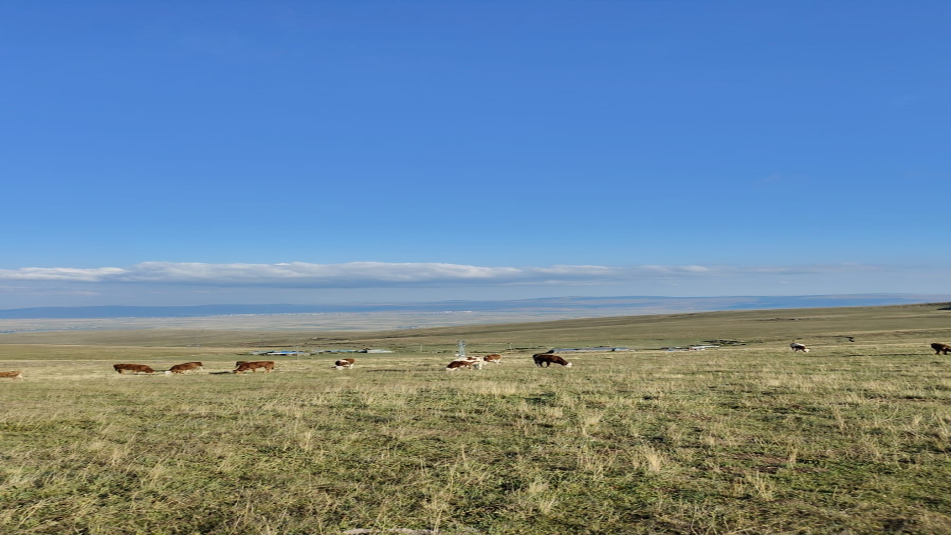 Sarıyamaç Köyü Yaylası