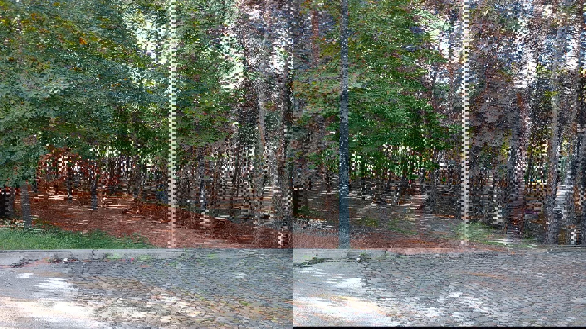 Çamlık Piknik ve Mesire Alanı