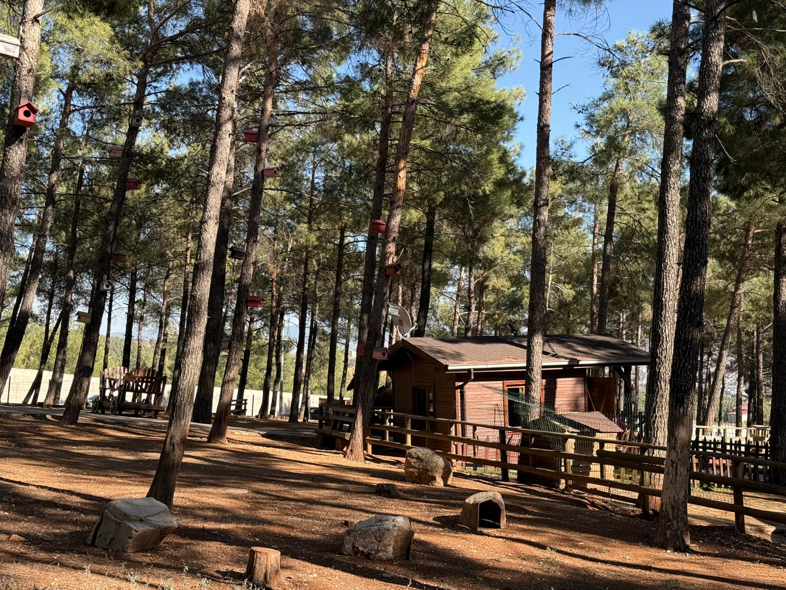 Kahramanmaraş Doğa ve Fen Okulu