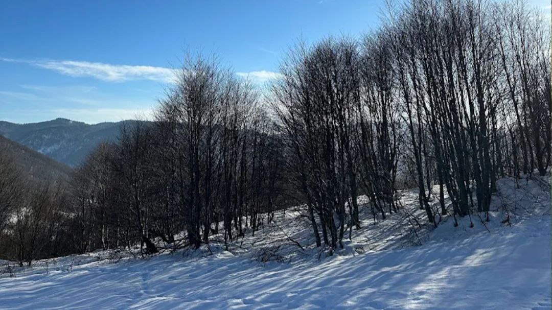 Kartepe Altıoluk Yaylası