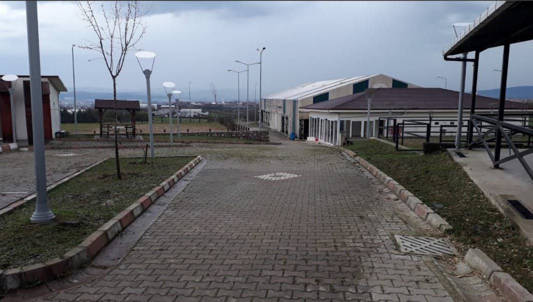 Kartepe Belediyesi Atla Terapi Merkezi