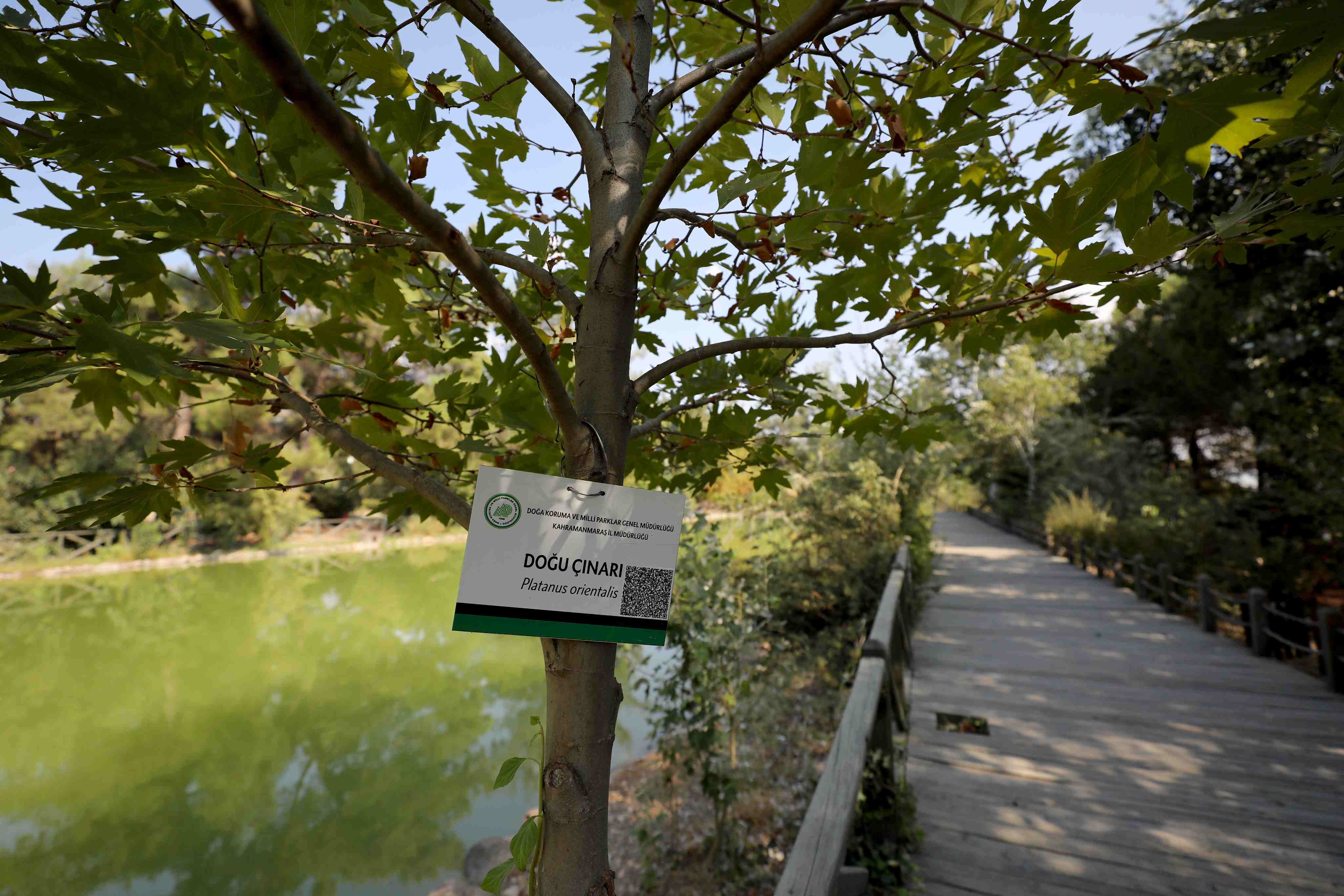 Kapıçam Tabiat Parkı