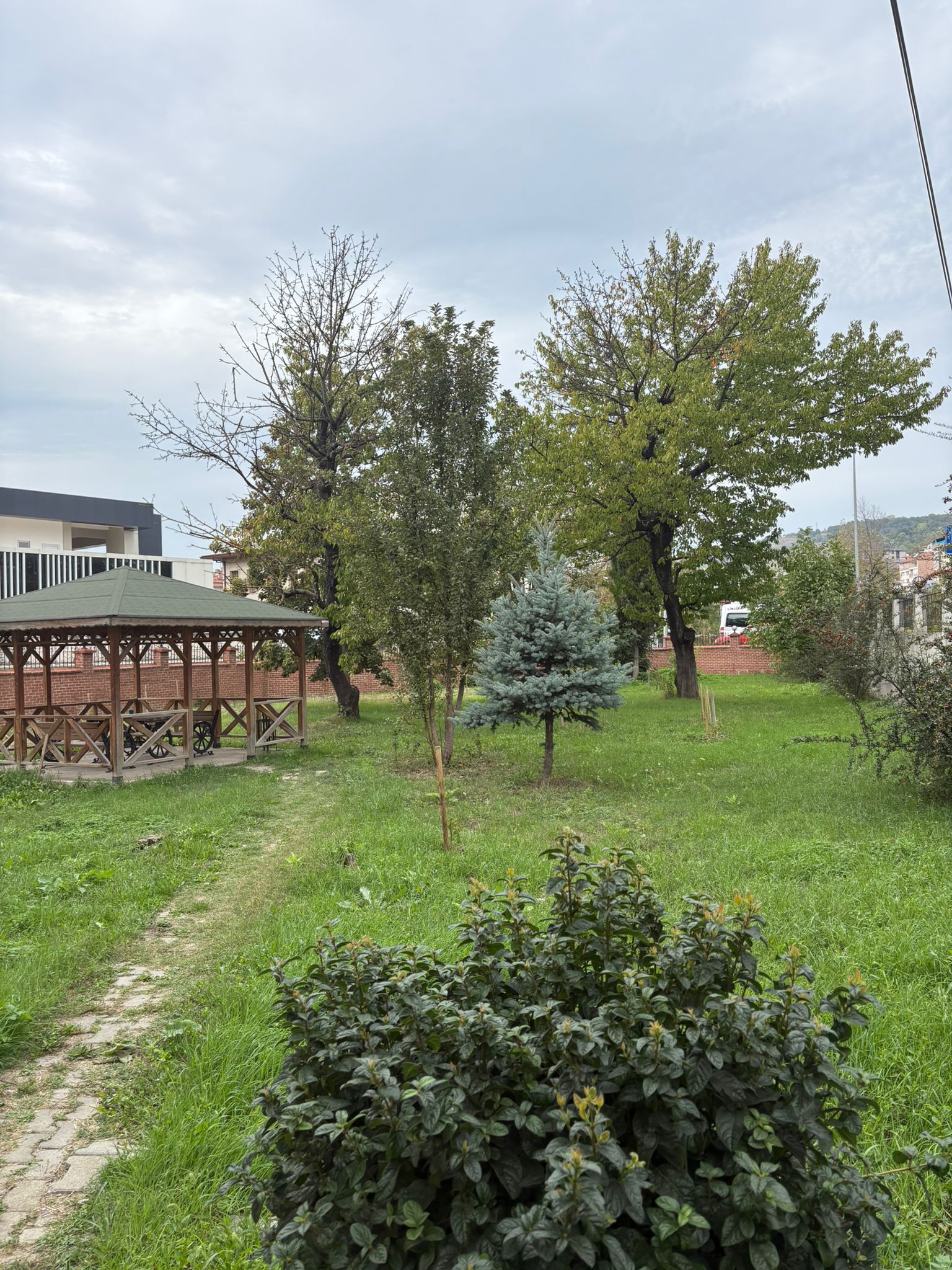 Gökçebey (Tefen)-Sarıgöl Orman İşletme Şefliği