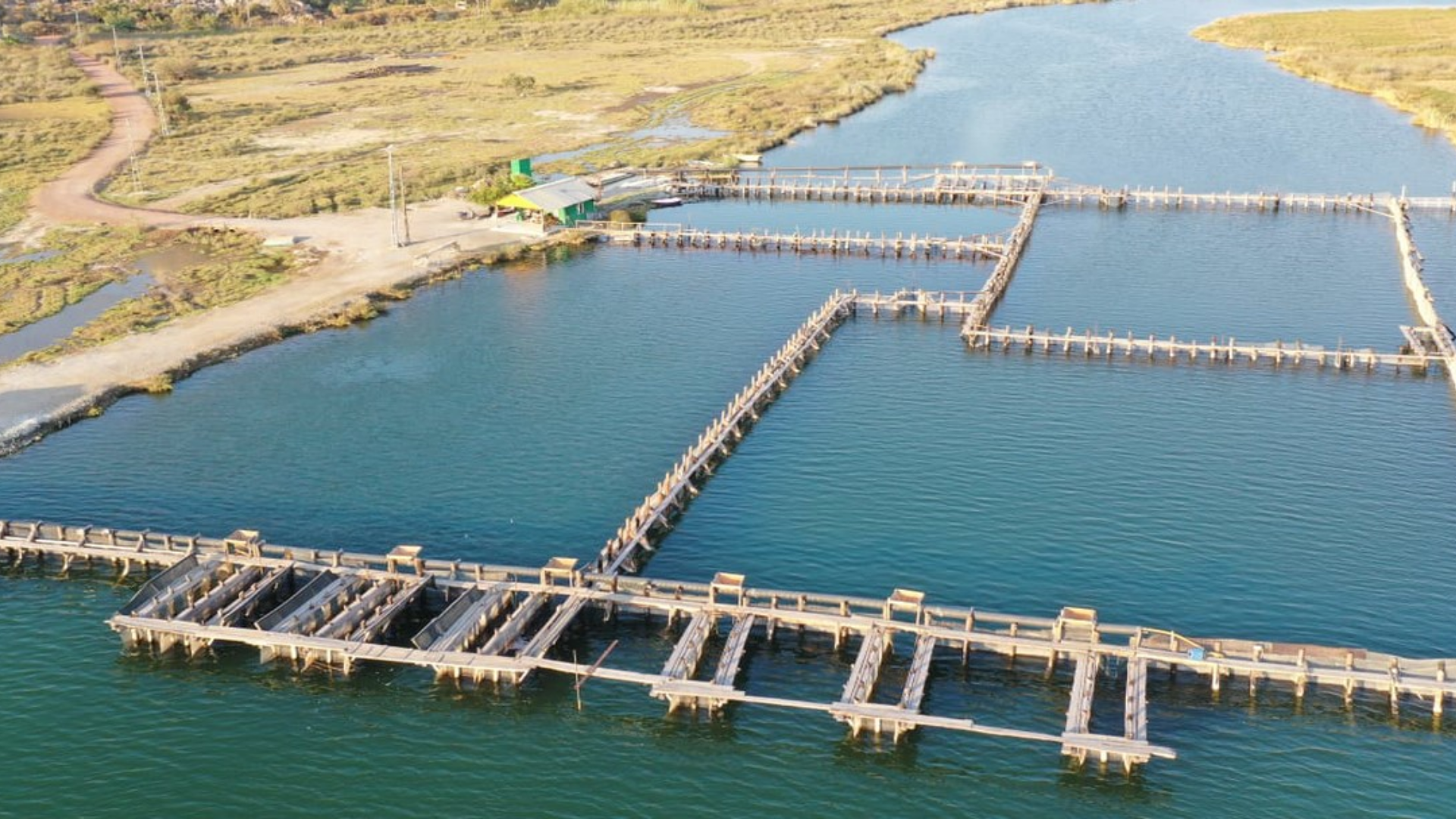 Dalyan Su Ürünleri Kooperatifi (DALKO)