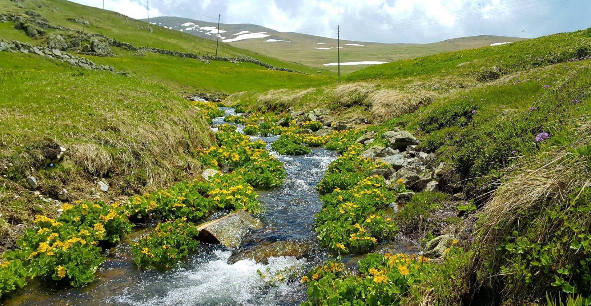 Sultan Murat Yaylası