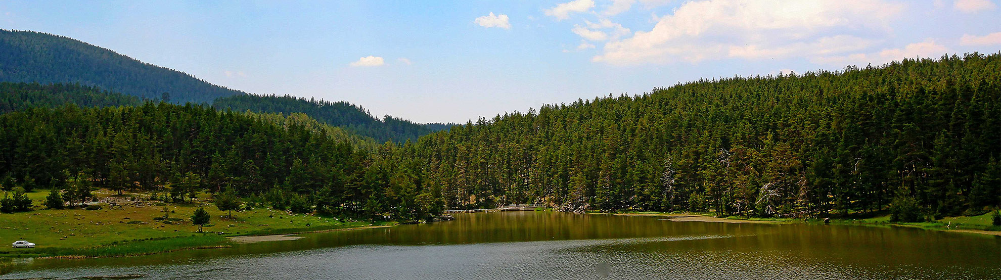 Eğriova Yaylası Tabiat Parkı