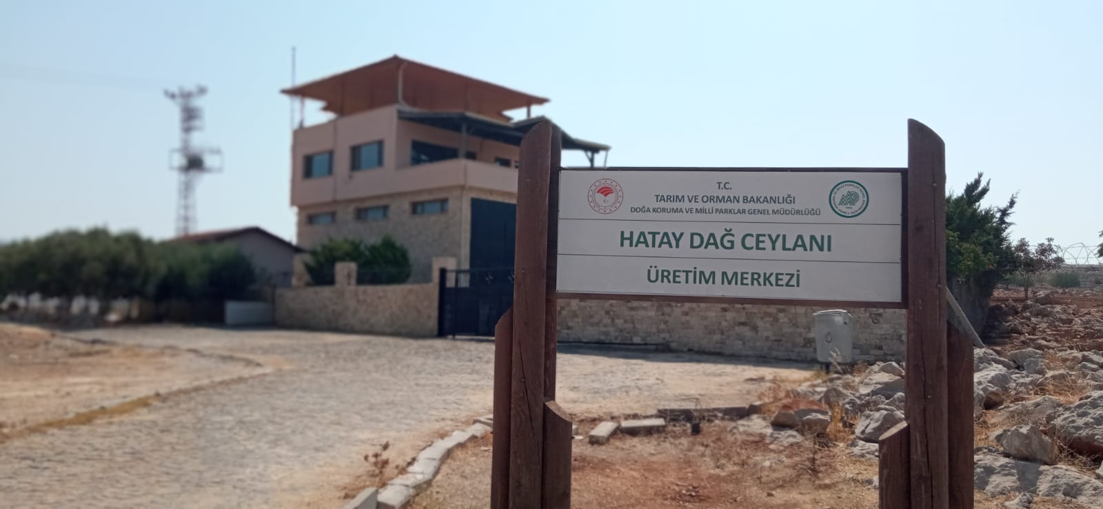Hatay Dağ Ceylanı Üretim Merkezi