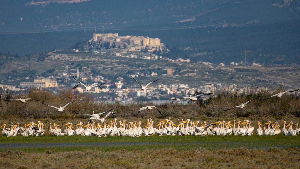 Silifke Göksu Deltası Akgöl Kuş Cenneti - Mersin