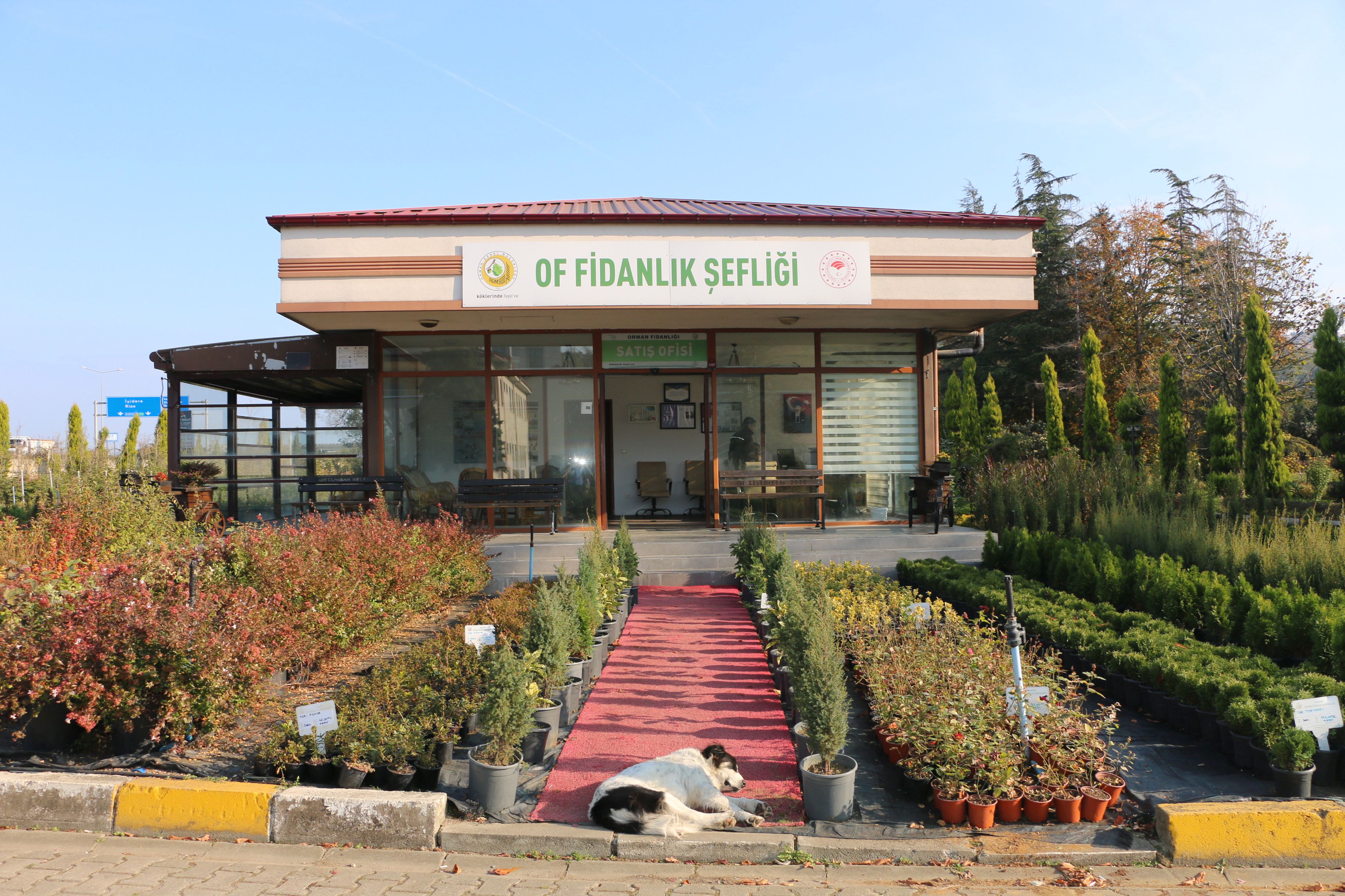 Of Orman Fidanlık Şefliği