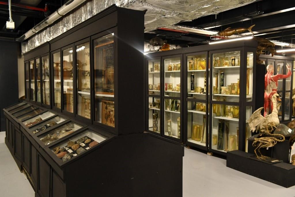 Ankara Üniversitesi Fen Fakültesi Biyoloji Bölümü Zooloji Müzesi