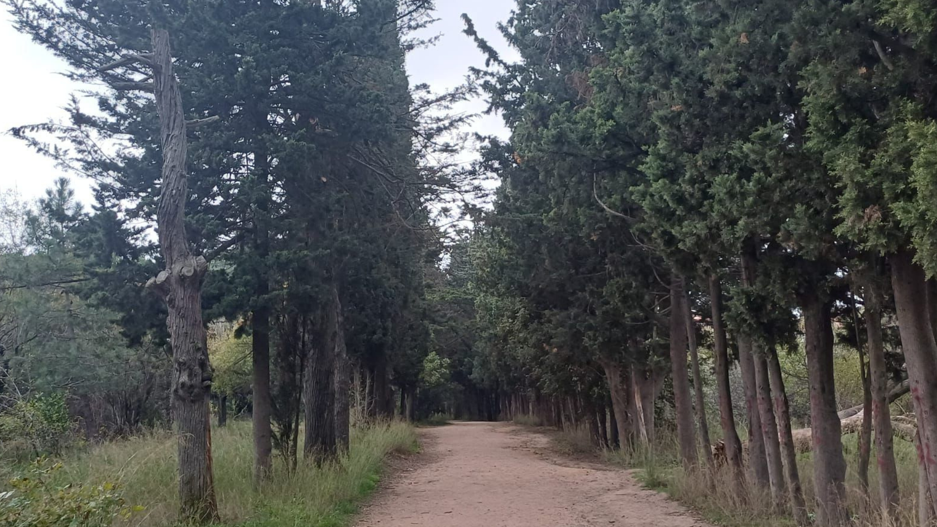 Abdülaziz Av Köşkü