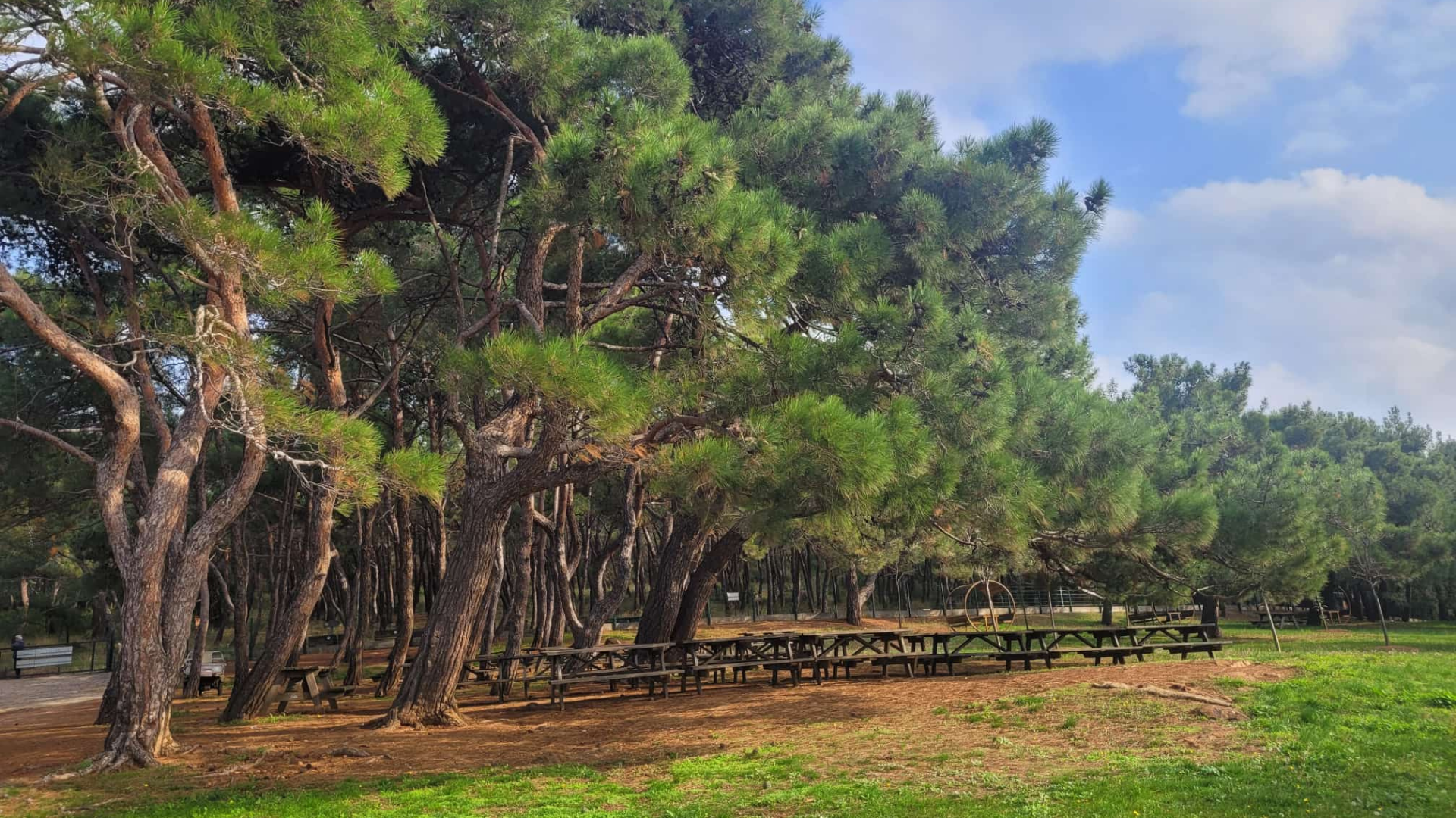 Değirmenburnu Tabiat Parkı