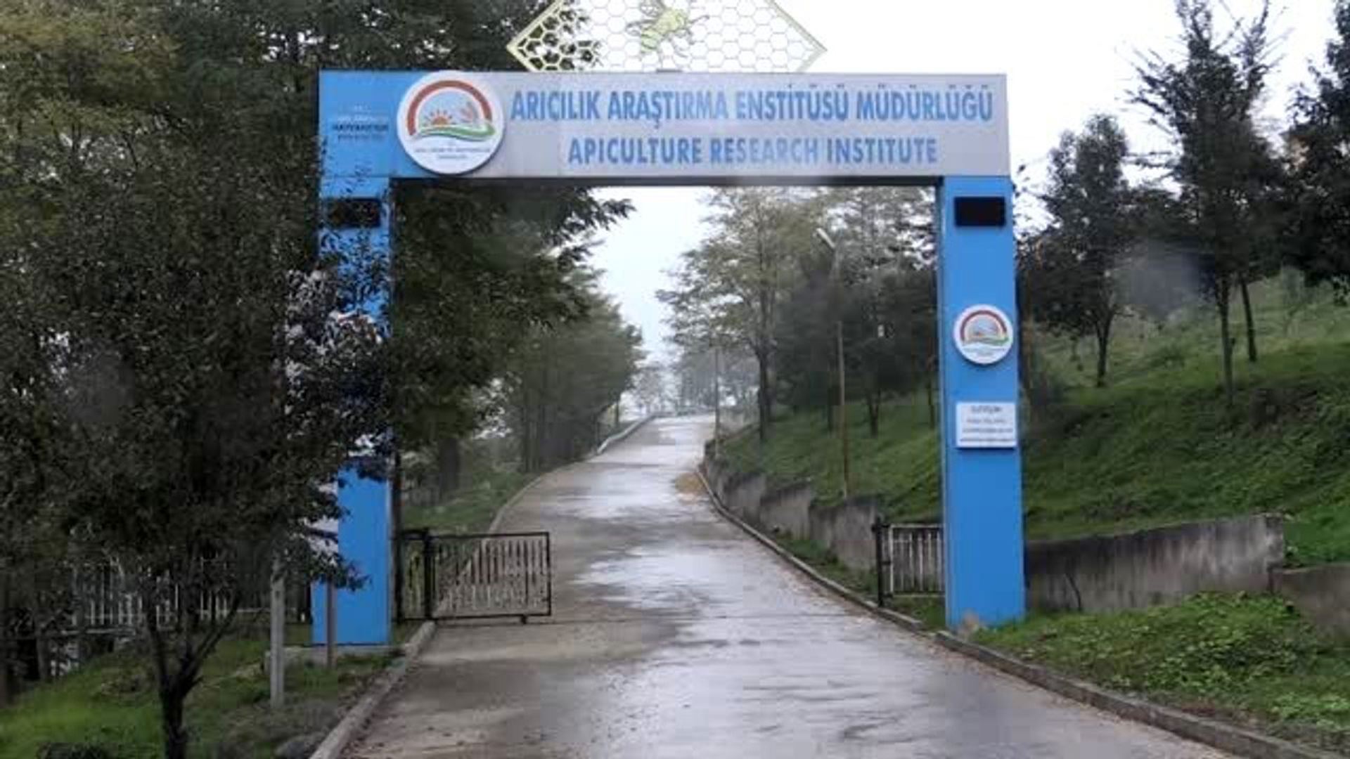 Ordu Arıcılık Araştırma Enstitüsü