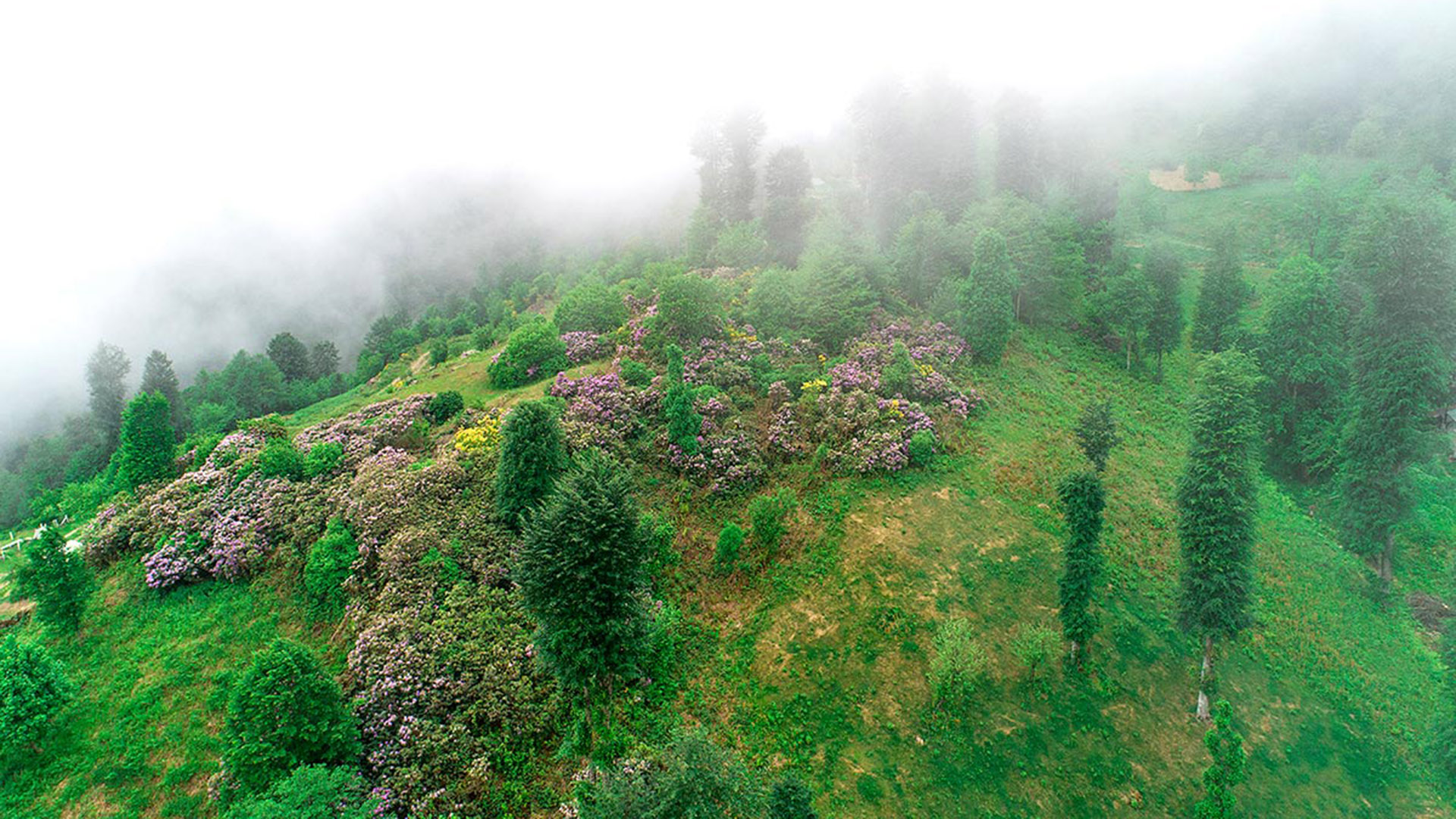 Hıdırnebi Yaylası