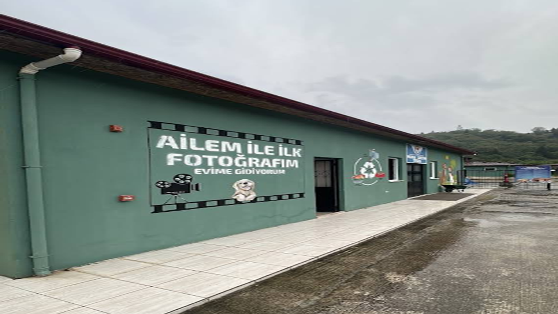 Trabzon Büyükşehir Belediyesi Sahipsiz Hayvan Bakımevi ve Rehabilitasyon Merkezi