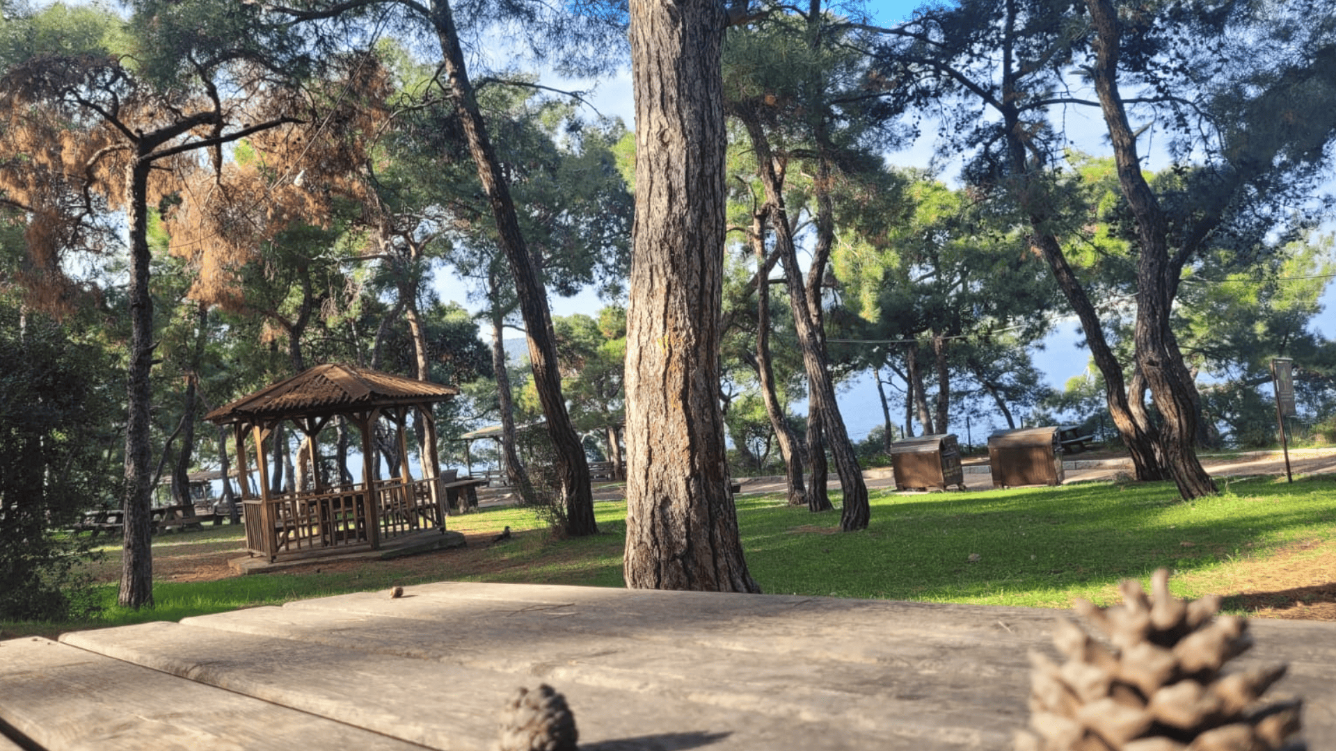 Dilburnu Tabiat Parkı