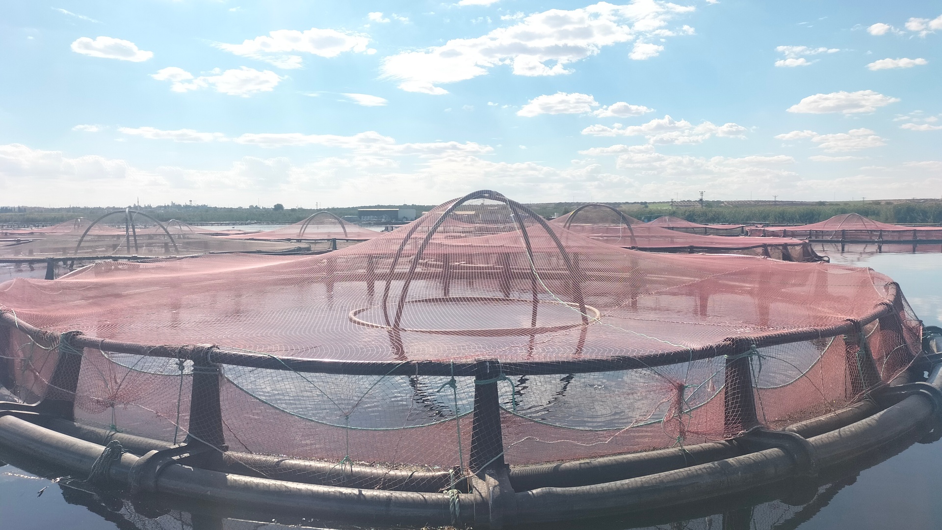 Karkamış Balık Çiftliği