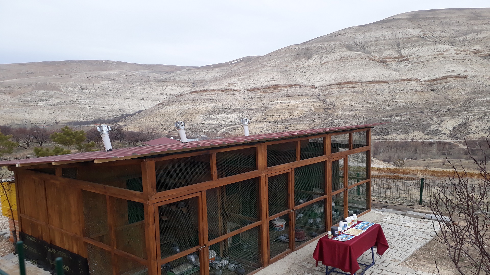 Gürün Güvercin Evi