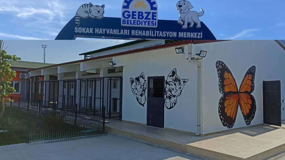 Gebze Sokak Hayvanları Tedavi, Rehabilitasyon ve Eğitim Merkezi
