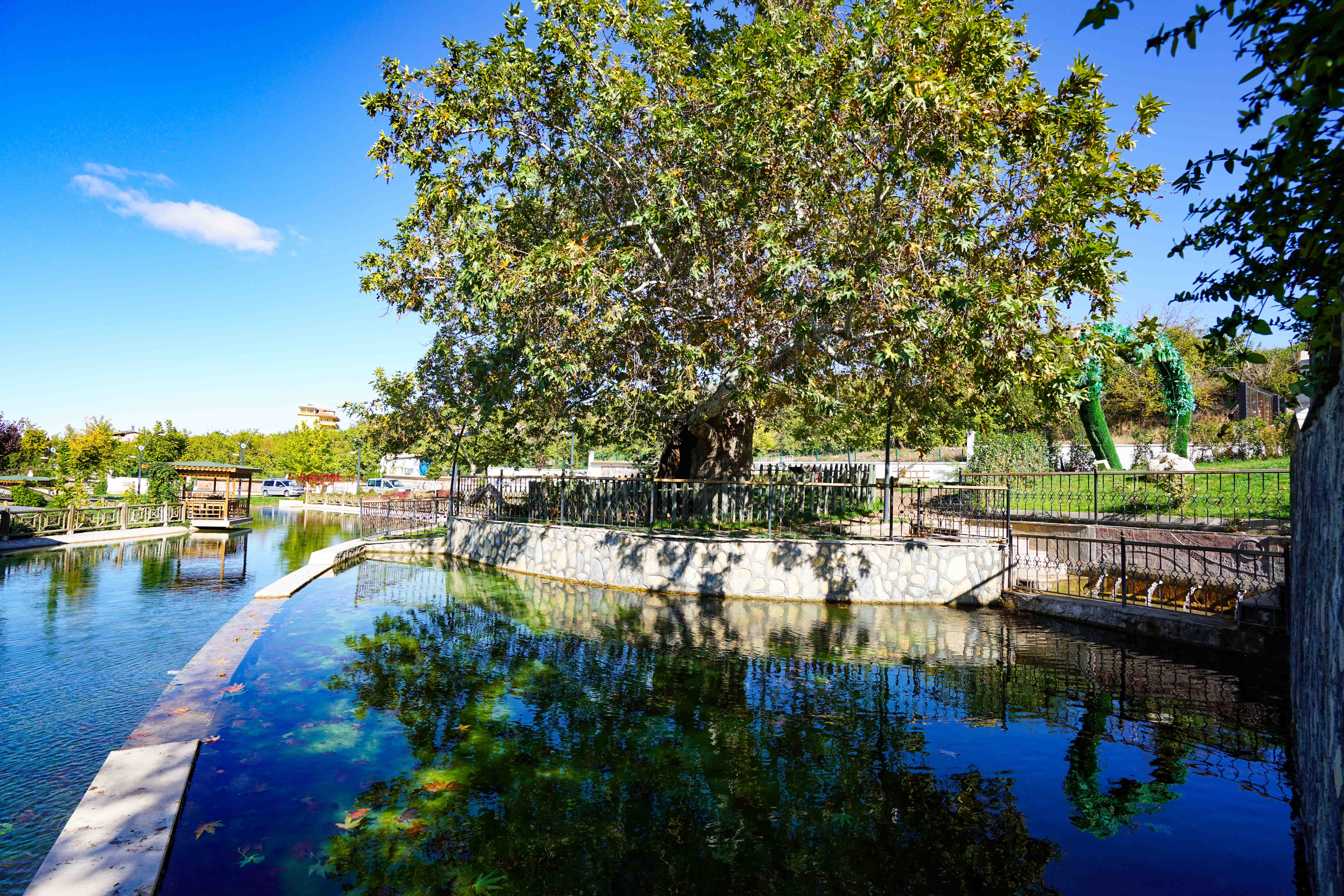 Battalgazi Belediyesi Galip Demirel Çınar Park
