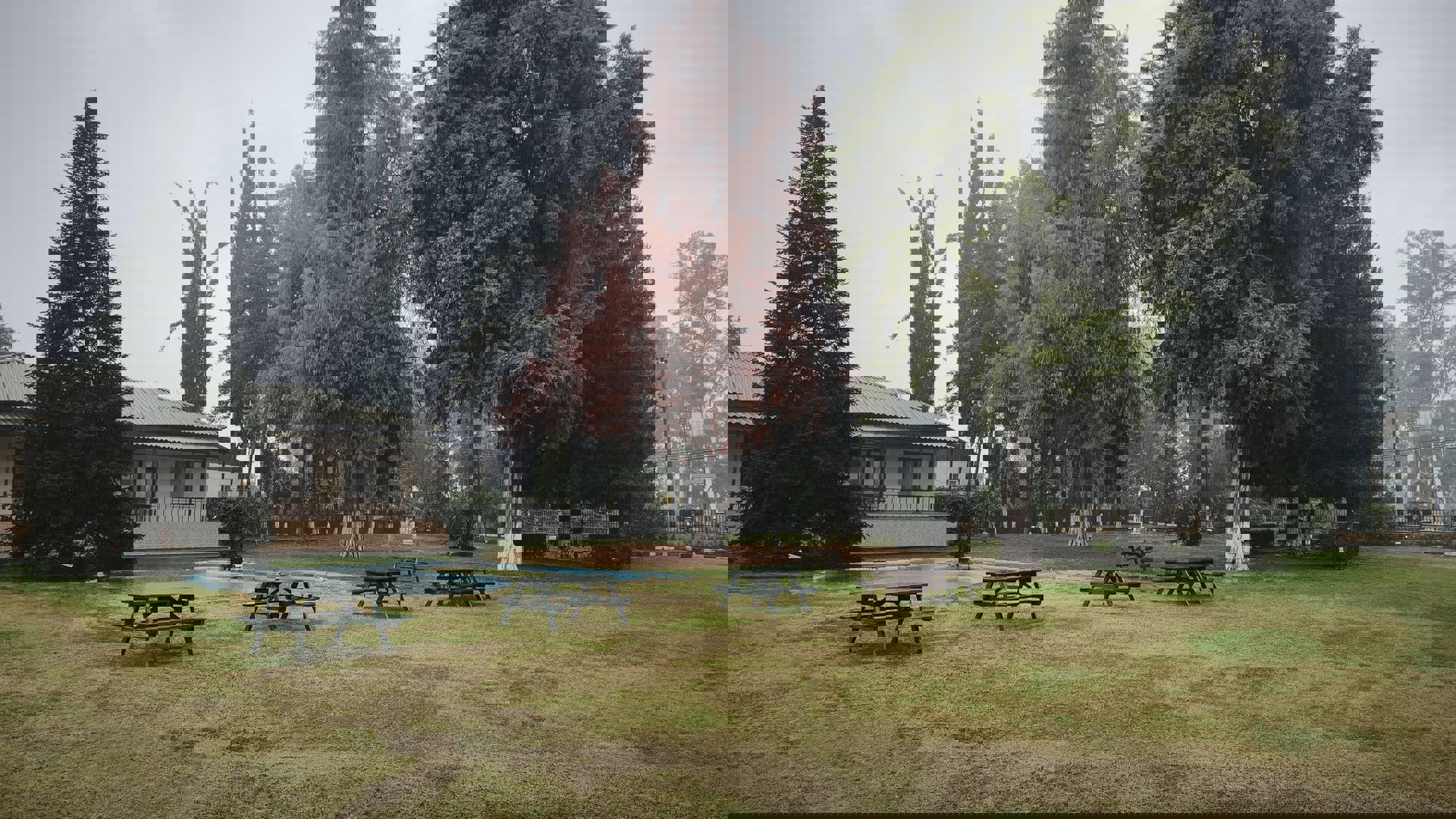 T.C. Orman Genel Müdürlüğü Doğu Akdeniz Ormancılık Araştırma Enstitüsü Müdürlüğü