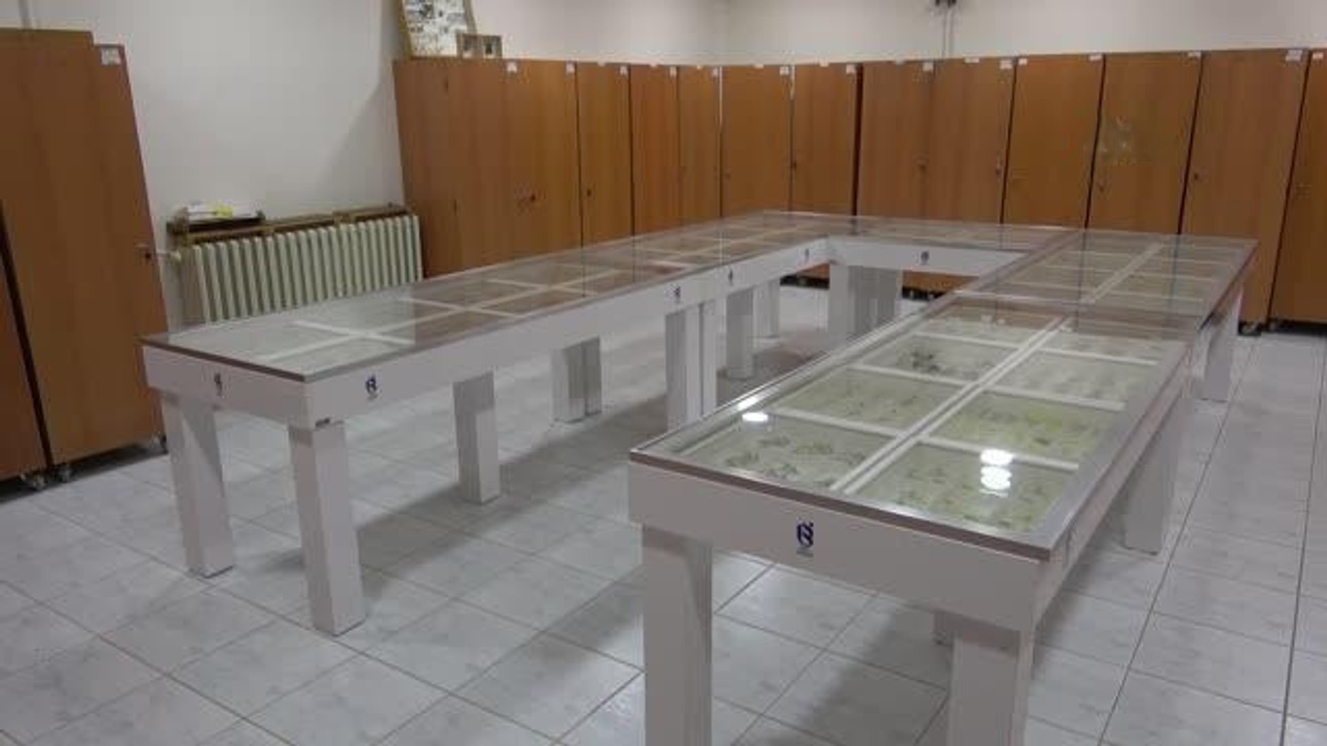 ISIBU Böcek Müzesi