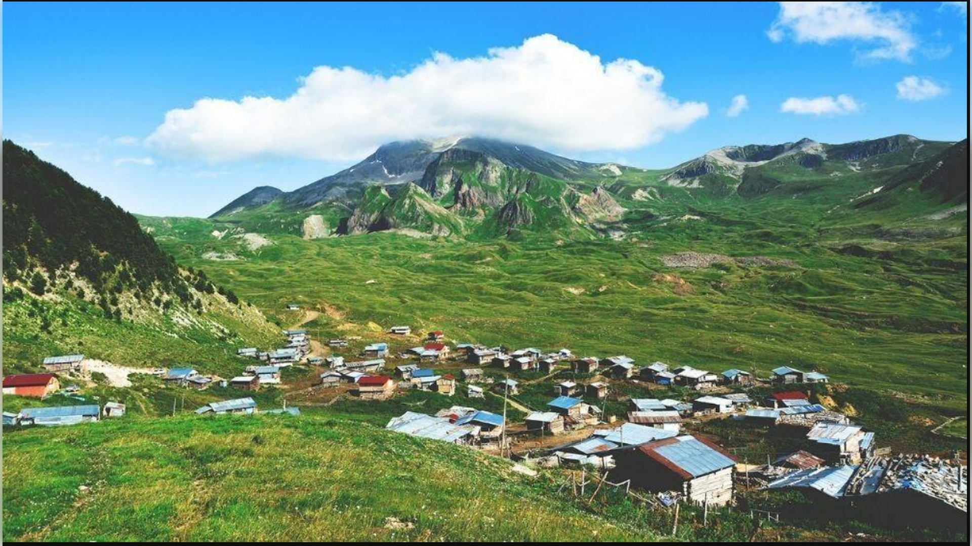 Çamburnu Tabiat Koruma Alanı