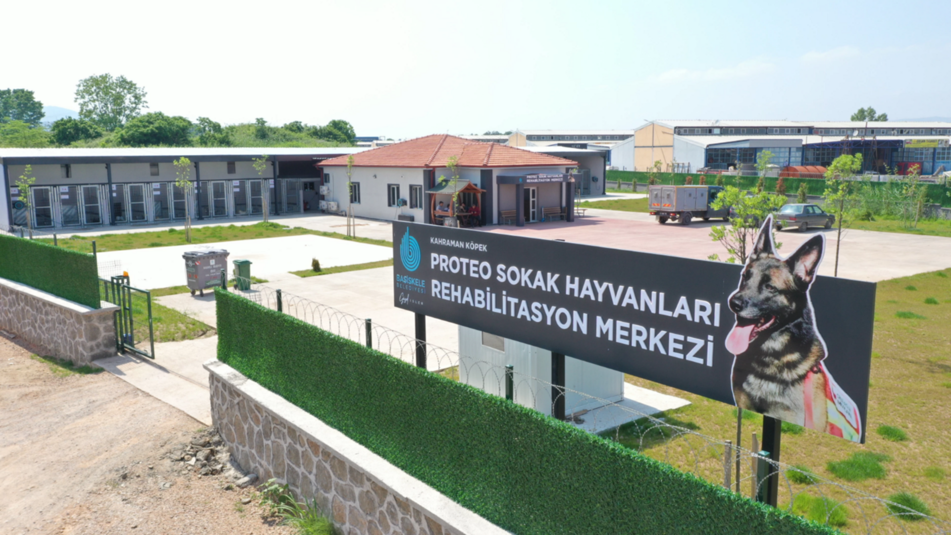 Başiskele Proteo Sokak Hayvanları Rehabilitasyon Merkezi