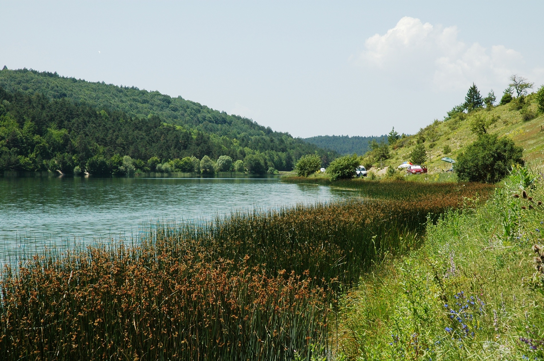 Eflani Ortakçılar Göleti