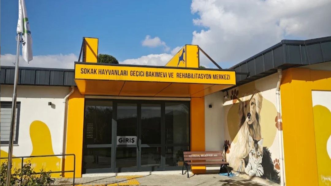 Çayırova Sokak Hayvanları Geçici Bakım Evi ve Rehabilitasyon Merkezi