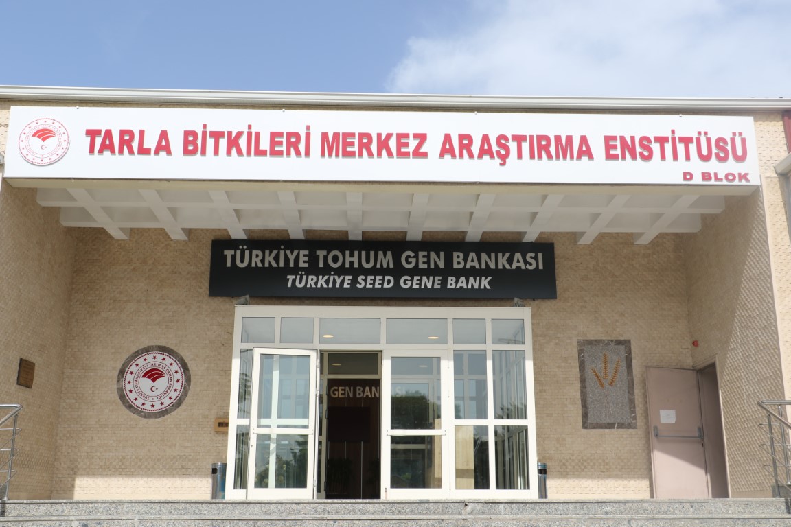 Türkiye Tohum Gen Bankası