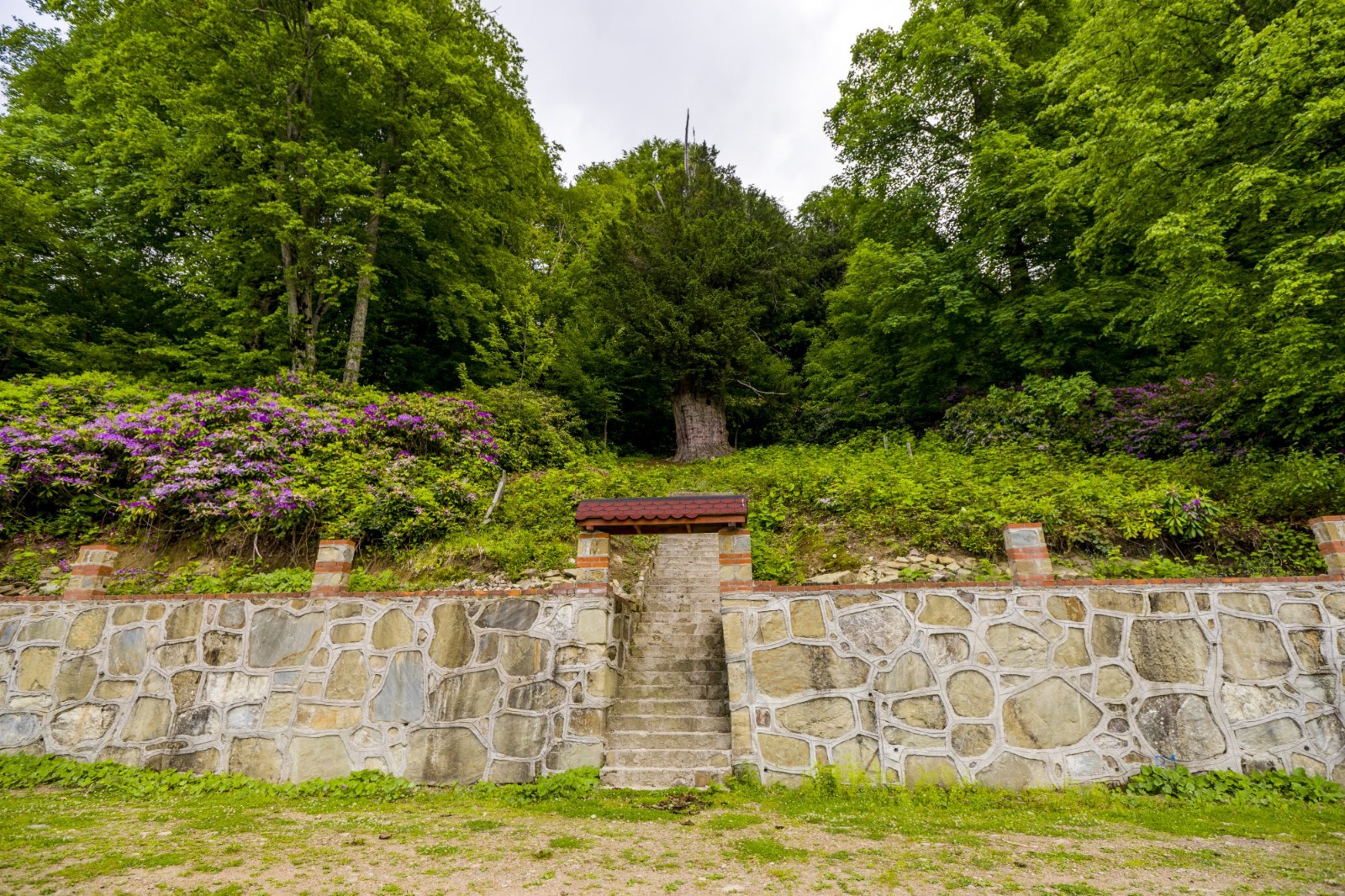 Gümeli Tabiat Anıtı