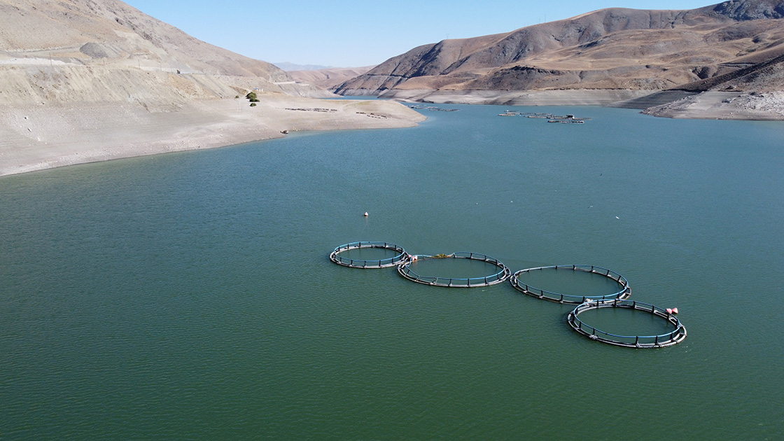 Zernek Barajı Ve Hidroelektrik Santrali