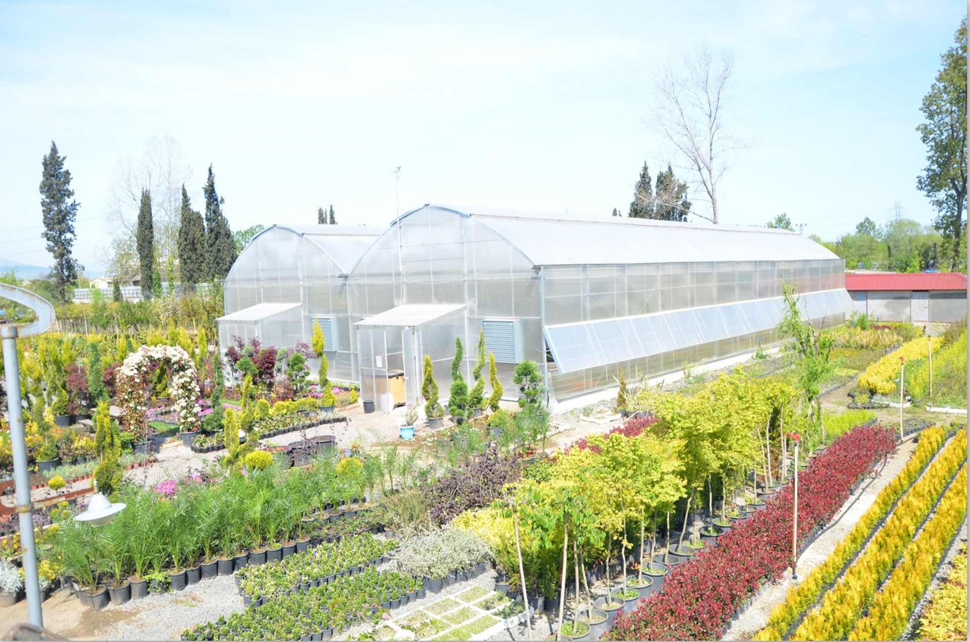 Samsun Orman Fidanlığı