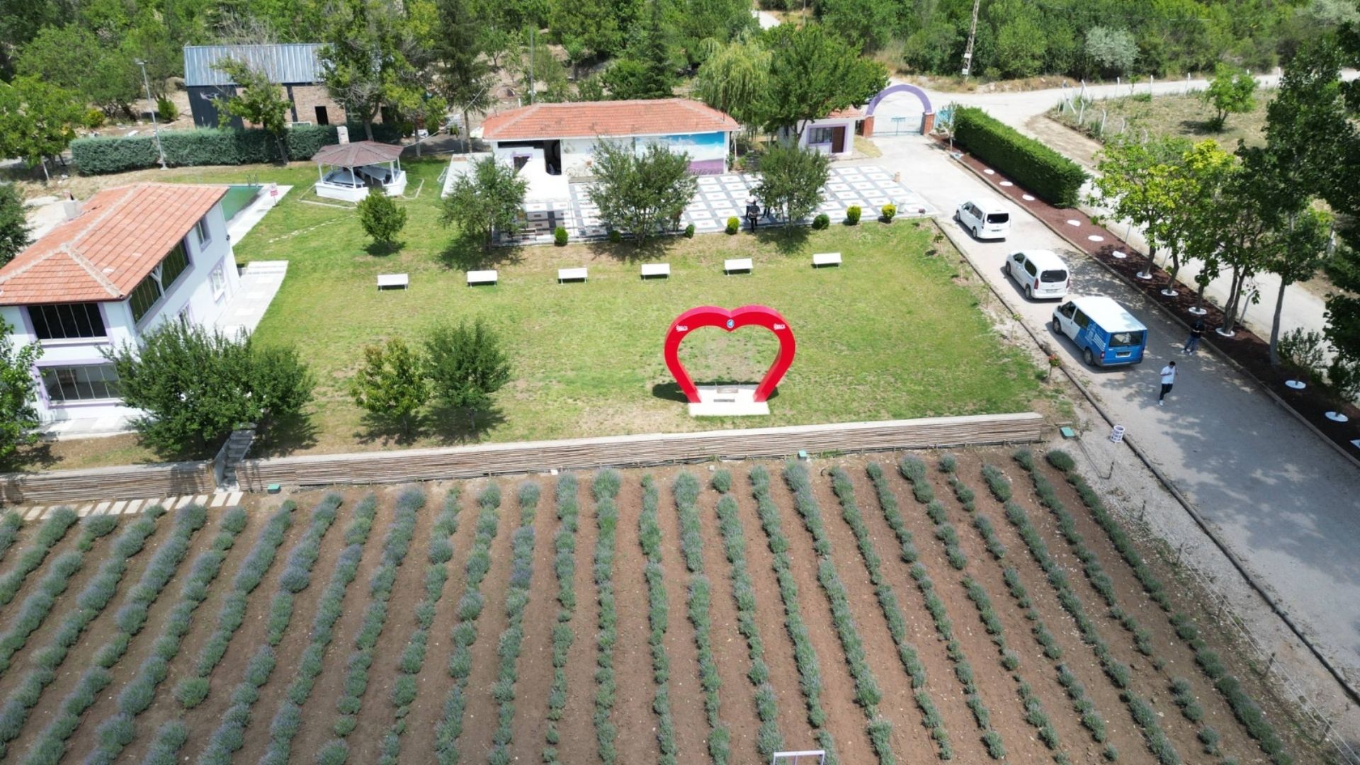 Çorum Lavanta Bahçesi