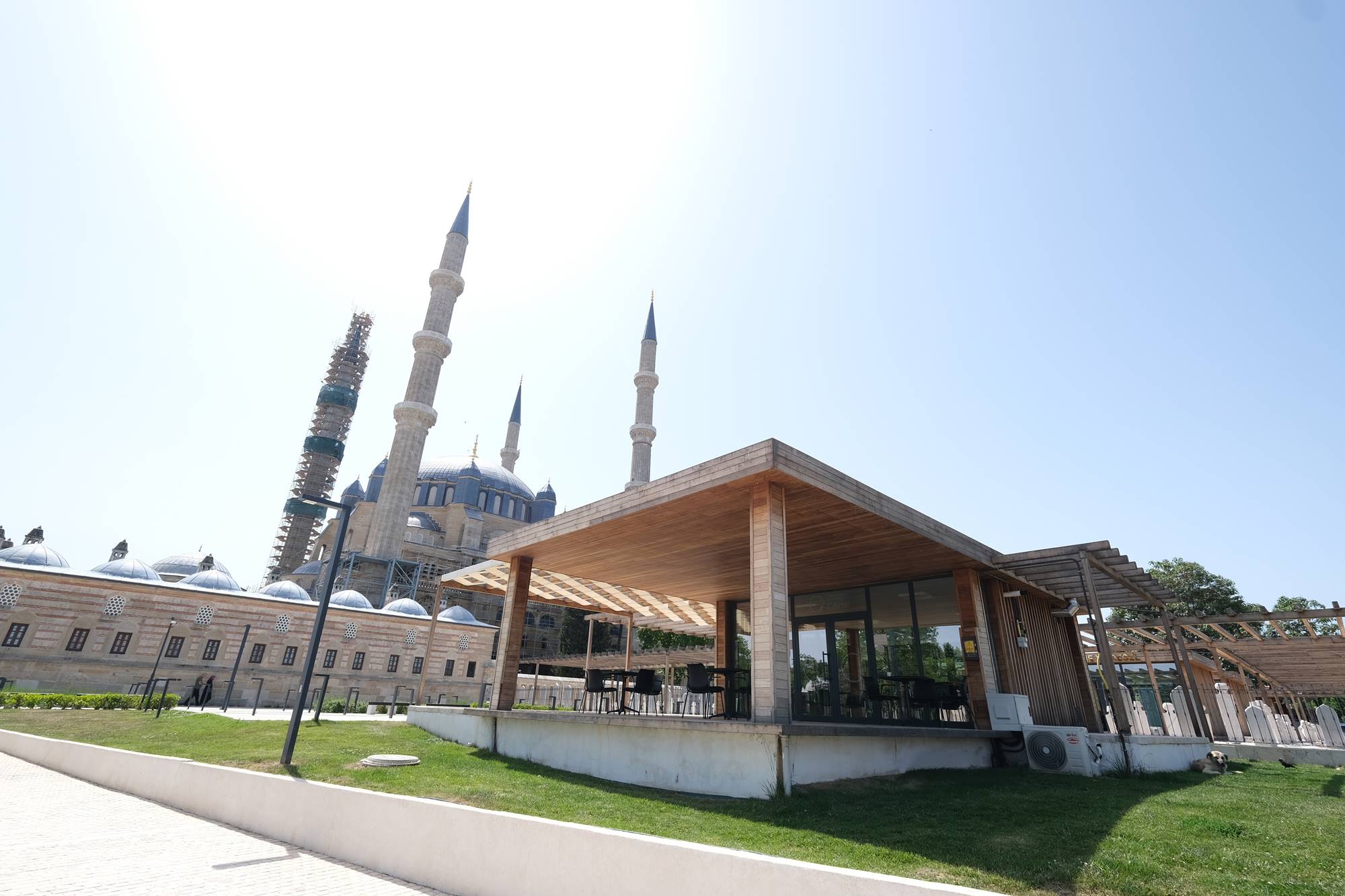 Edirne Olgunlaşma Ensititüsü