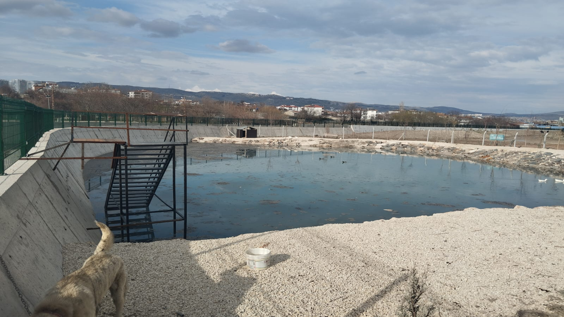 Kırkgözeler  ve Şorşor Deresi